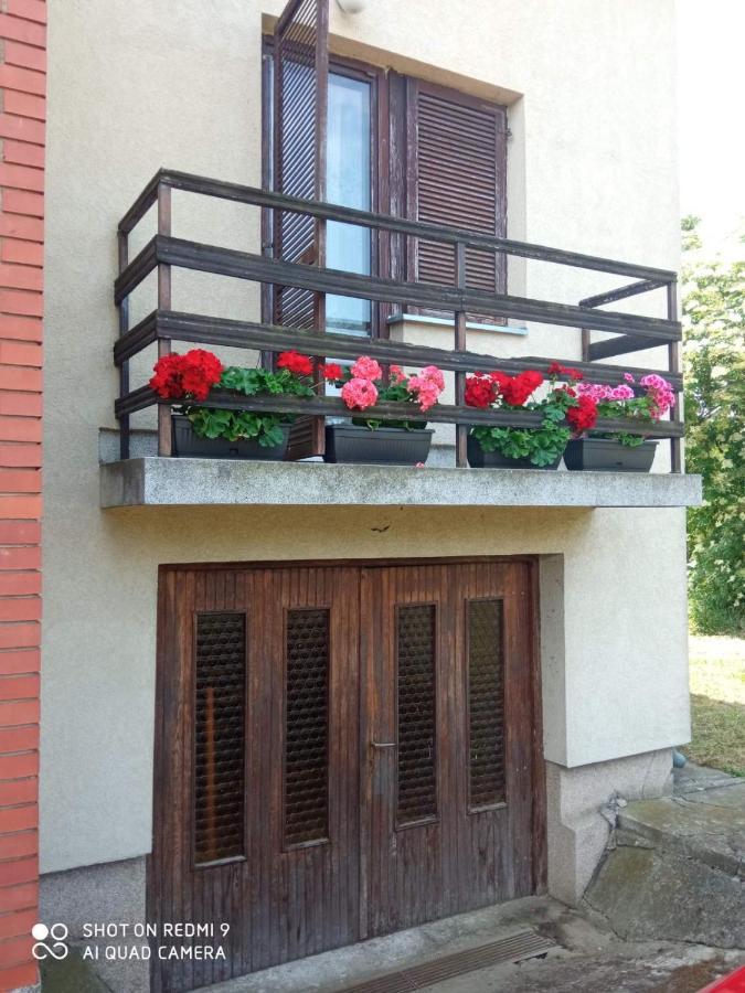 Vila Milica Kraljevo Exterior photo